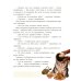Дополнительное изображение книги «Аладдин и волшебная лампа»