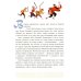 Дополнительное изображение книги «Аладдин и волшебная лампа»