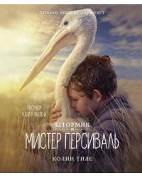 Штормик и мистер Персиваль: повесть