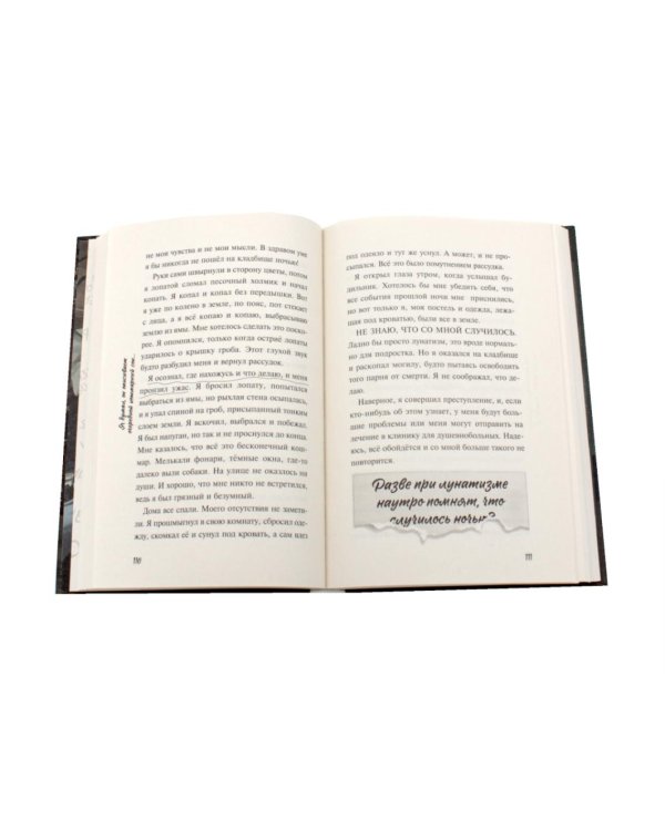 Дополнительное изображение книги «Летний лагерь. Мы твои друзья. Плюшевая голова (комплект из 3-х книг)»