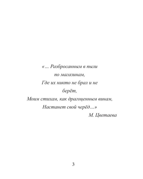 Дополнительное изображение книги «Матовый глянец»
