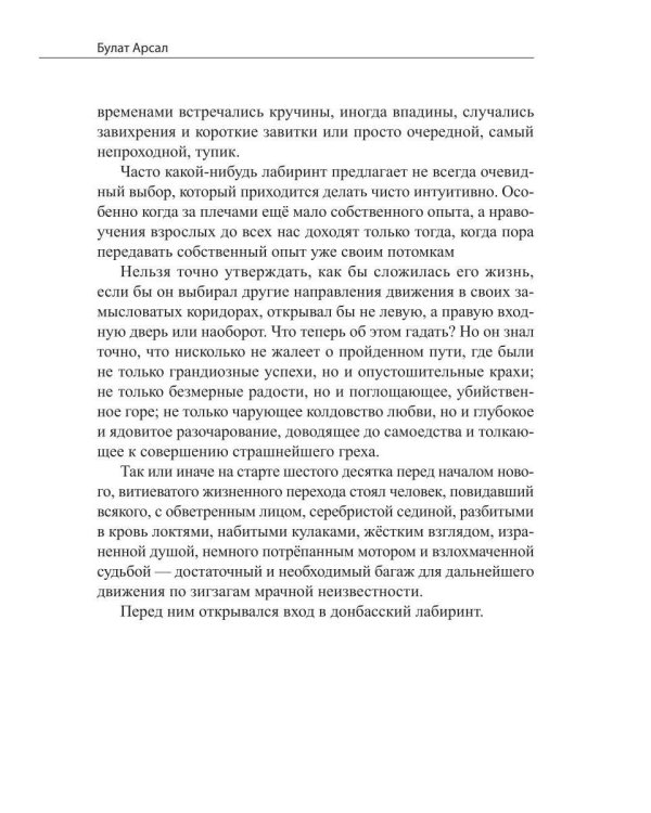 Дополнительное изображение книги «Донбасский лабиринт»