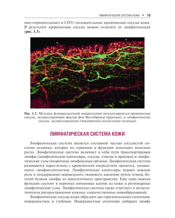 Сосудистые болезни кожи. 2-е изд., перераб. и доп