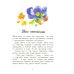 Дополнительное изображение книги «Сказки о животных»