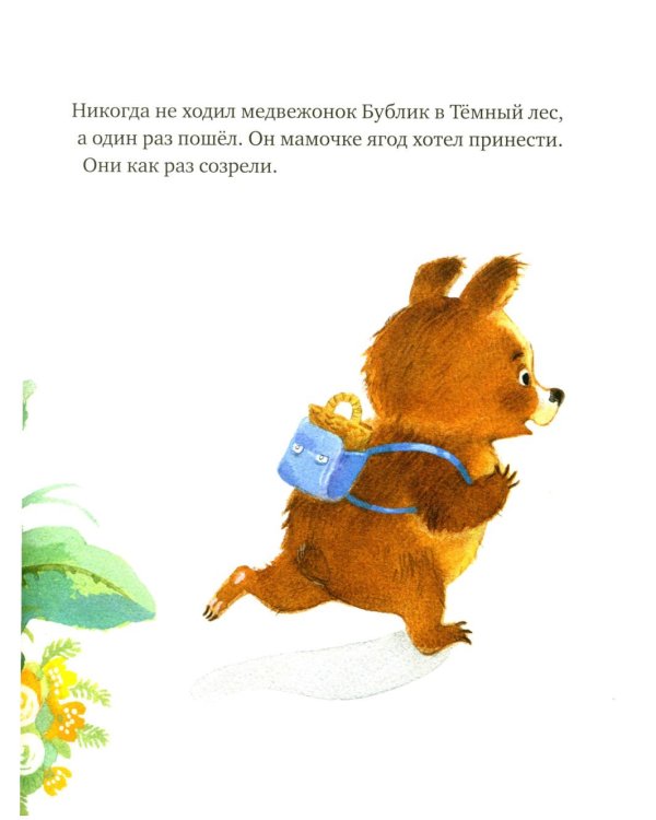 Дополнительное изображение книги «Я не боюсь темноты»