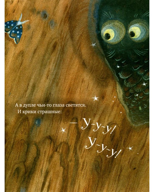 Дополнительное изображение книги «Я не боюсь темноты»