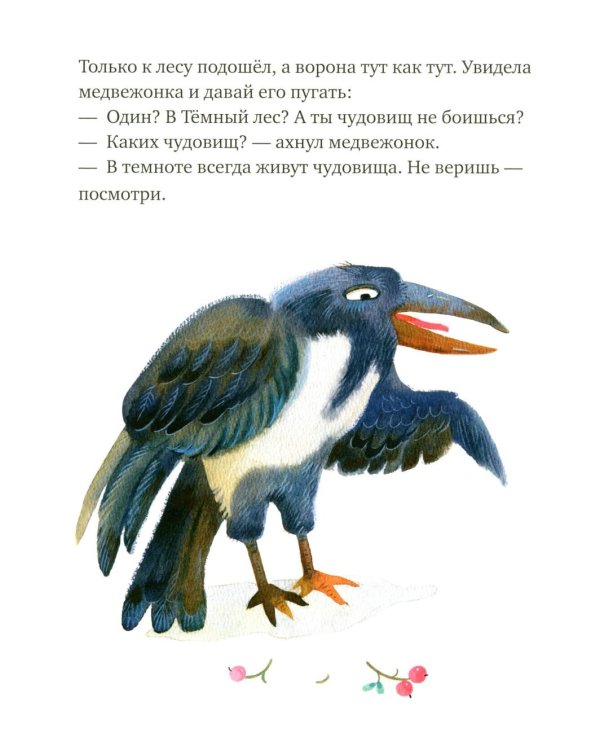 Дополнительное изображение книги «Я не боюсь темноты»