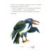 Дополнительное изображение книги «Я не боюсь темноты»