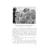 Путешествия капитана Александра. В 4 т. Т. 1: Большие дети моря. Киты и люди