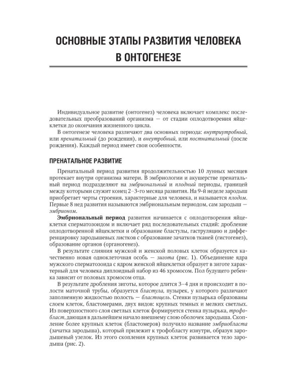 Анатомия человека: учебник для медицинских училищ и колледжей