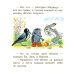 Дополнительное изображение книги «Яблоко»