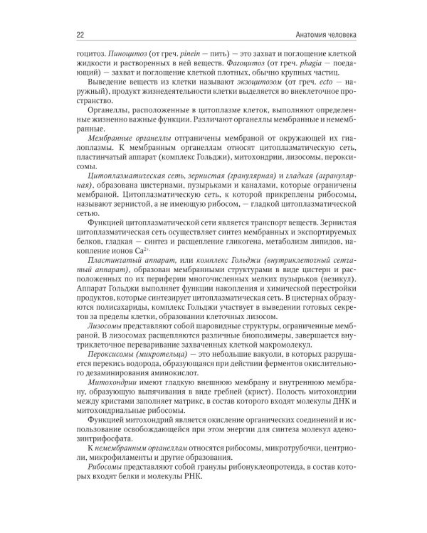 Анатомия человека: учебник для медицинских училищ и колледжей