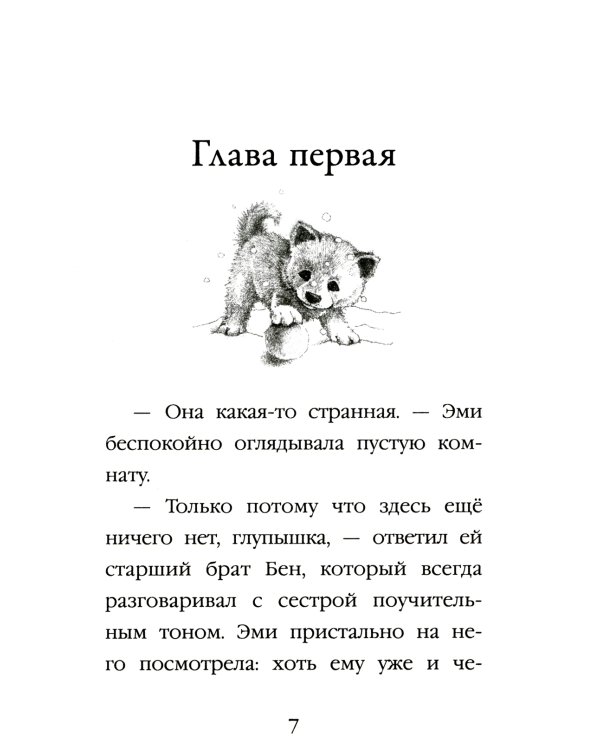 Щенок Рина, или Таинственное путешествие