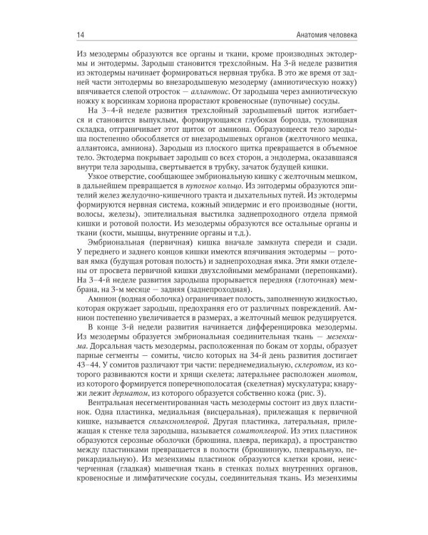 Анатомия человека: учебник для медицинских училищ и колледжей