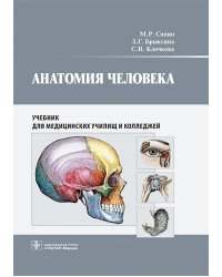 Анатомия человека: учебник для медицинских училищ и колледжей