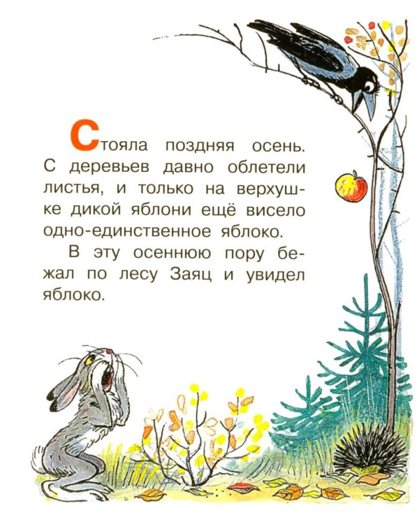 Дополнительное изображение книги «Яблоко»