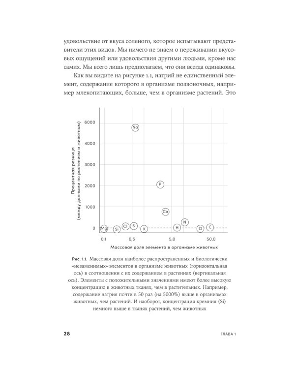 Происхождение вкусов: Как любовь к еде сделала нас людьми