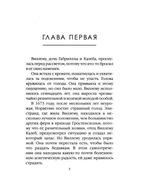 Зимняя буря. Т. 10