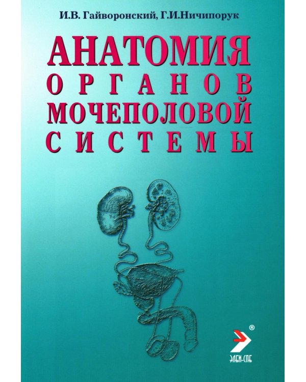 Дополнительное изображение книги «Анатомия органов мочеполовой системы: Учебное пособие. 15-е изд., перераб. и доп»