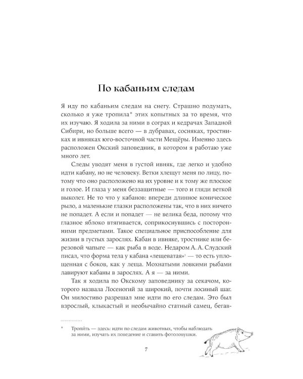 Гнездо кабана: Истории из заповедника