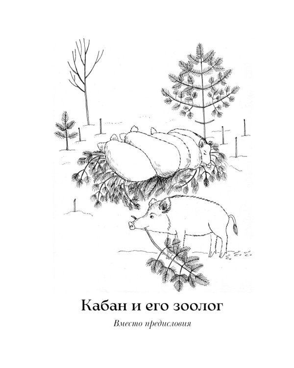 Гнездо кабана: Истории из заповедника