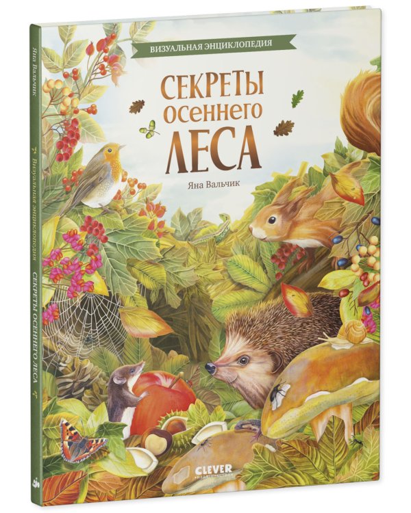 Секреты осеннего леса. Визуальная энциклопедия