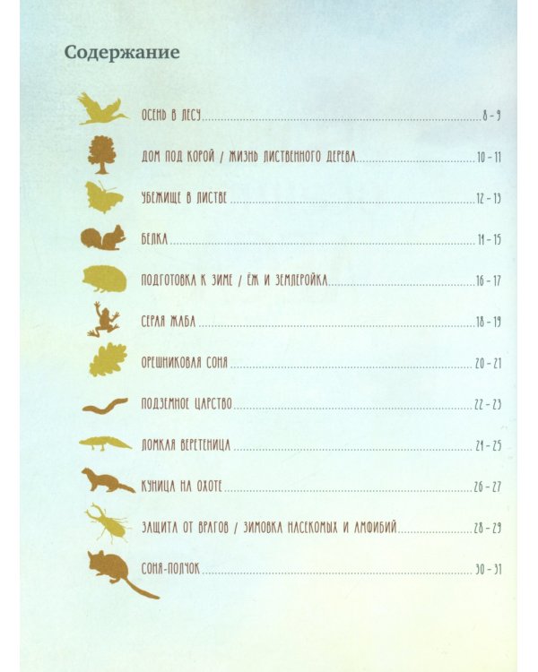 Секреты осеннего леса. Визуальная энциклопедия