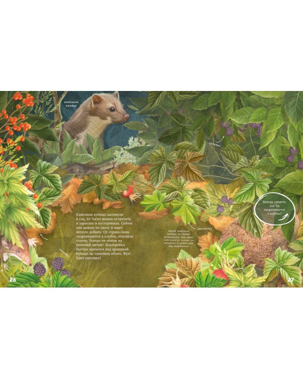 Секреты осеннего леса. Визуальная энциклопедия