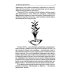 Среднее профессиональное образование Флористика: Учебное пособие. 2-е изд., перераб