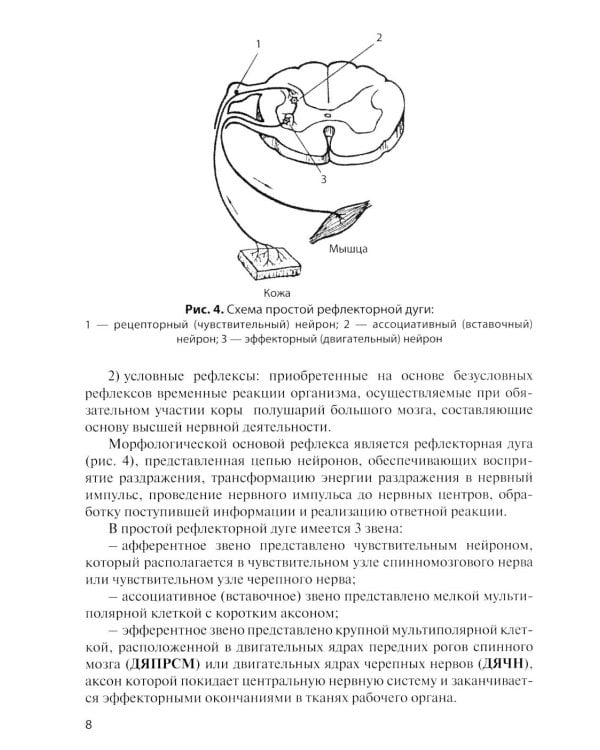 Дополнительное изображение книги «Анатомия центральной нервной системы. Краткий курс: Учебное пособие. 19-е изд., перераб. и доп»