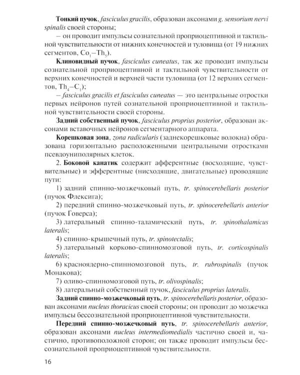 Дополнительное изображение книги «Анатомия центральной нервной системы. Краткий курс: Учебное пособие. 19-е изд., перераб. и доп»