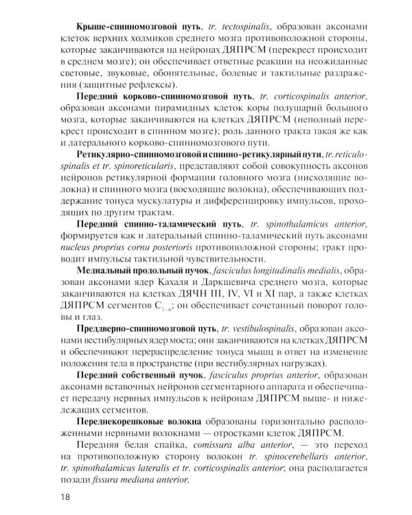 Дополнительное изображение книги «Анатомия центральной нервной системы. Краткий курс: Учебное пособие. 19-е изд., перераб. и доп»
