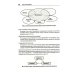 O'Reilly Эволюционная архитектура. Автоматизированное управление программным обеспечением. 2-е межд., изд