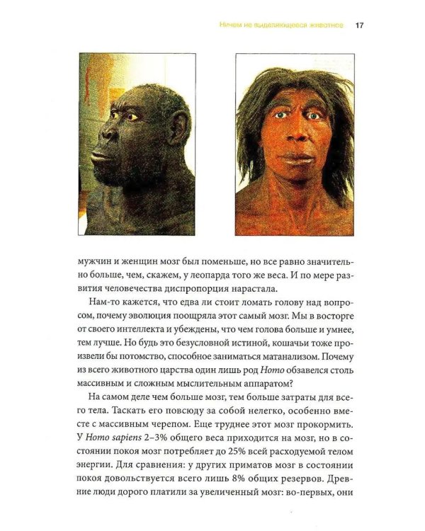 Sapiens. Краткая история человечества