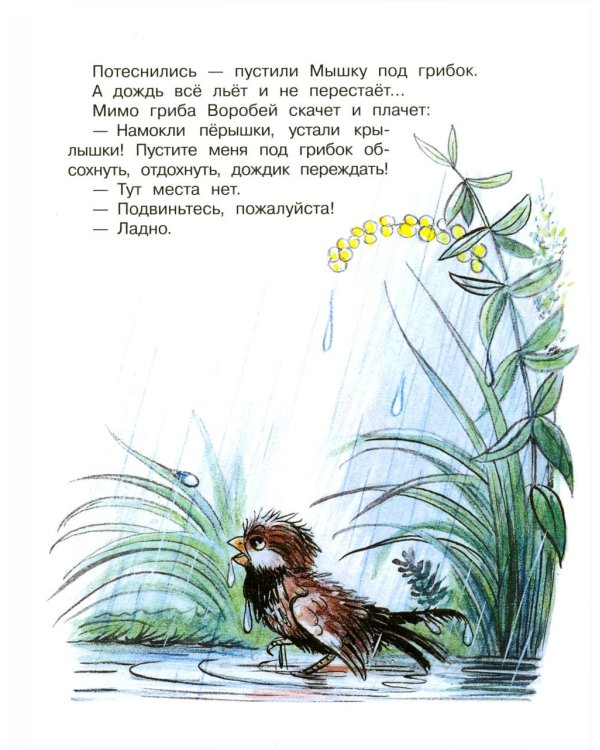 Дополнительное изображение книги «Кто сказал «мяу»? Сказки»