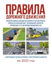 Правила дорожного движения на 2025 год. Действующая таблица штрафов и ответственность водителя