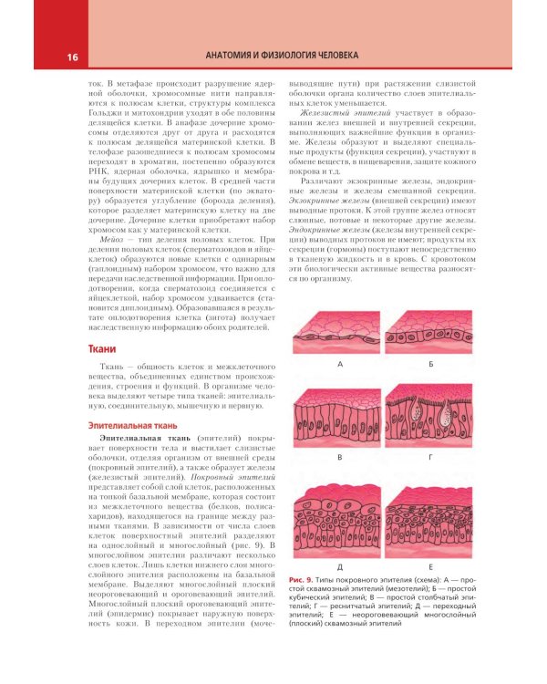 Анатомия и физиология человека: атлас
