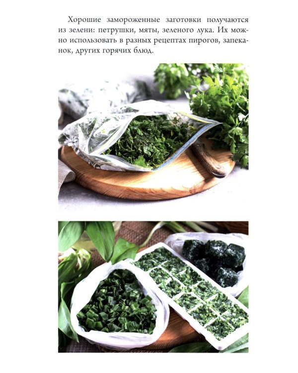 Заморозка для гурманов. Наслаждайтесь вкусом в любое время года - Ой морозь. Авторская система заморозки