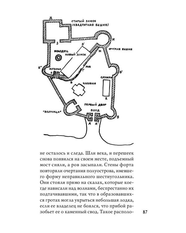 Духи дамы в черном: роман