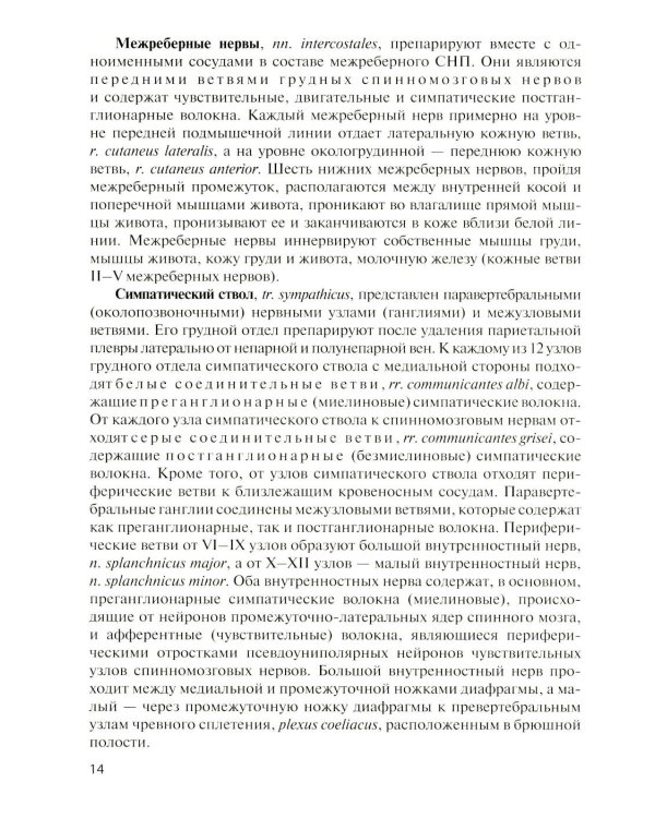 Дополнительное изображение книги «Клиническая анатомия сосудов и нервов: Учебное пособие. 13-е изд., перераб. и доп»