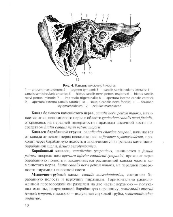 Дополнительное изображение книги «Клиническая анатомия черепа: Учебное пособие. 15-е изд., перераб. и доп»