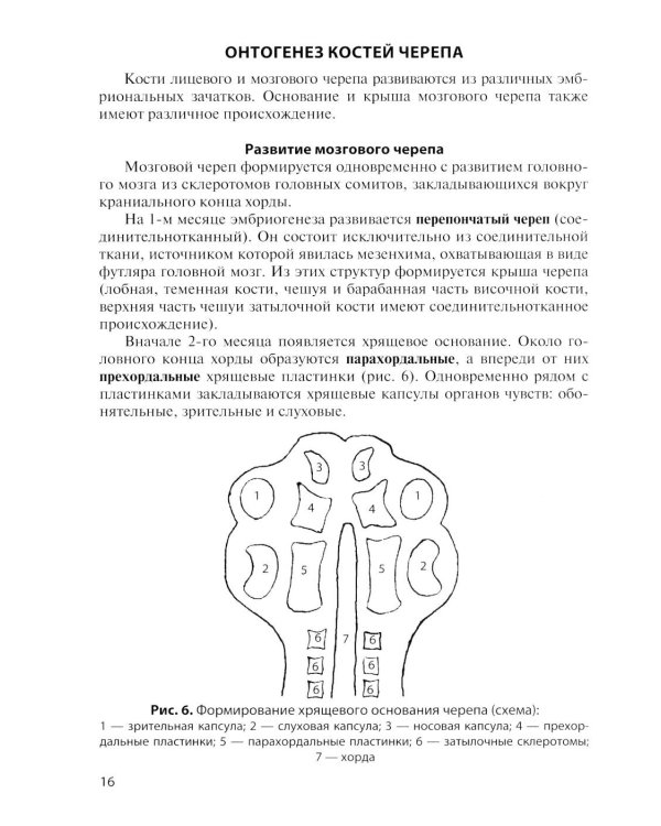 Дополнительное изображение книги «Клиническая анатомия черепа: Учебное пособие. 15-е изд., перераб. и доп»