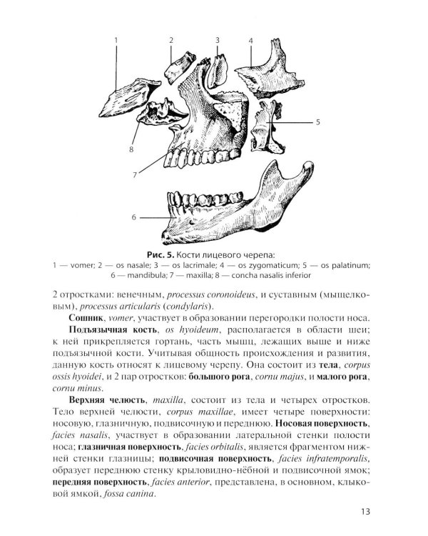 Дополнительное изображение книги «Клиническая анатомия черепа: Учебное пособие. 15-е изд., перераб. и доп»