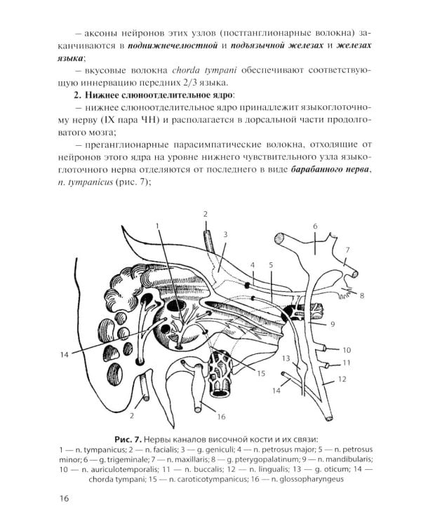 Дополнительное изображение книги «Функциональная анатомия вегетативной нервной системы: Учебное пособие. 4-е изд., перераб. и доп»