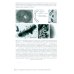 Эпидемиология туберкулеза: руководство для врачей