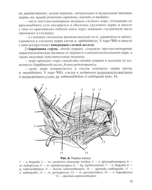 Дополнительное изображение книги «Функциональная анатомия вегетативной нервной системы: Учебное пособие. 4-е изд., перераб. и доп»