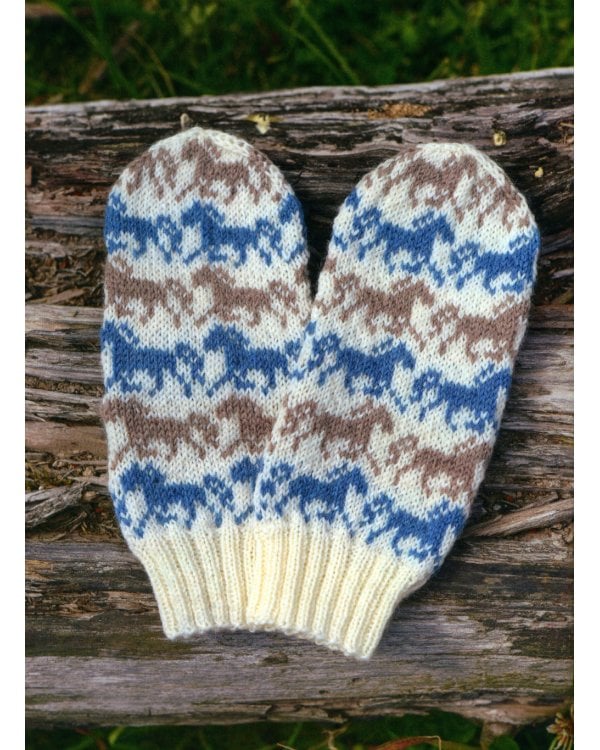 Дизайнерский жаккард. Вяжем варежки и носочки на спицах!: 20 невероятных проектов