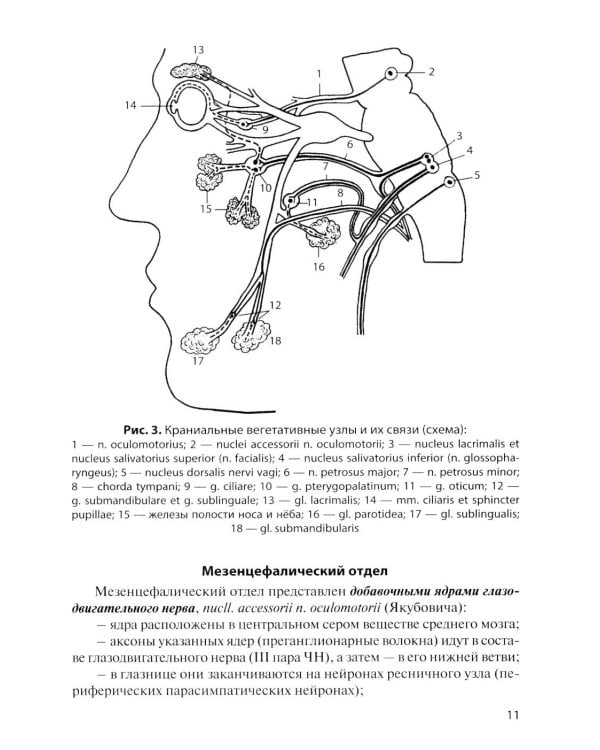 Дополнительное изображение книги «Функциональная анатомия вегетативной нервной системы: Учебное пособие. 4-е изд., перераб. и доп»