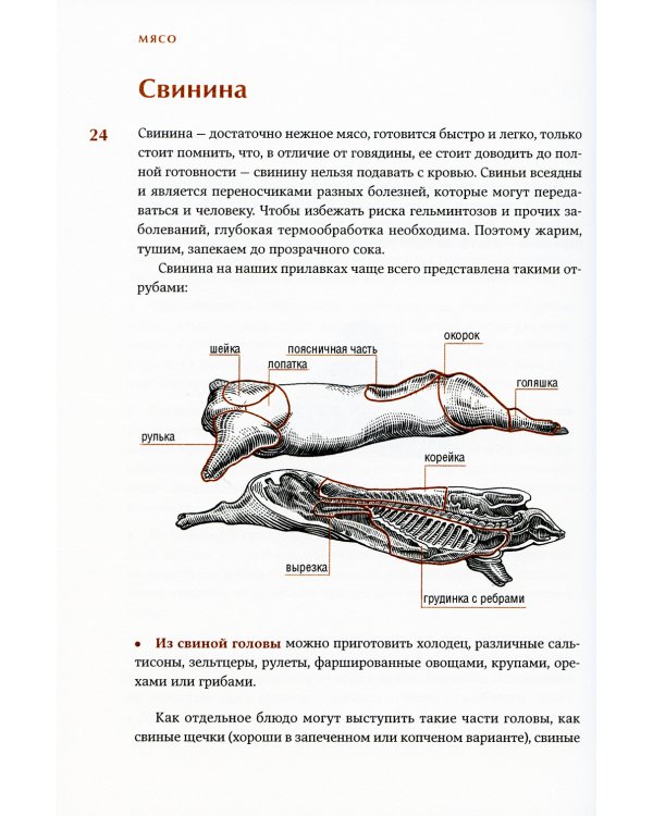 Сам себе шеф-повар: Как научиться готовить без рецептов. 2-е изд. Пунш Е.