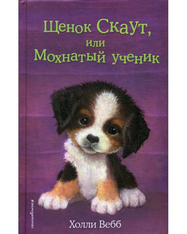 Щенок Скаут, или Мохнатый ученик